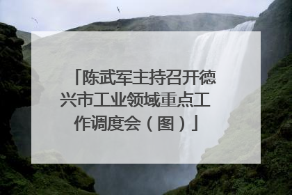 陈武军主持召开德兴市工业领域重点工作调度会（图）